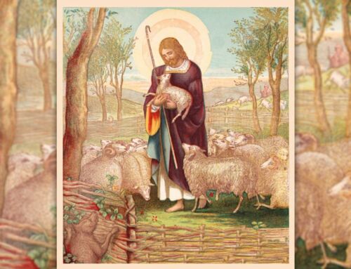 Praying with the Shepherds