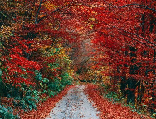 A Change of Seasons